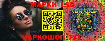 гидра Славгород