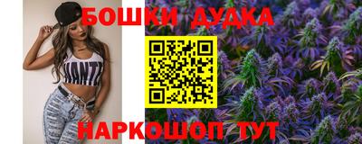 гидра Славгород